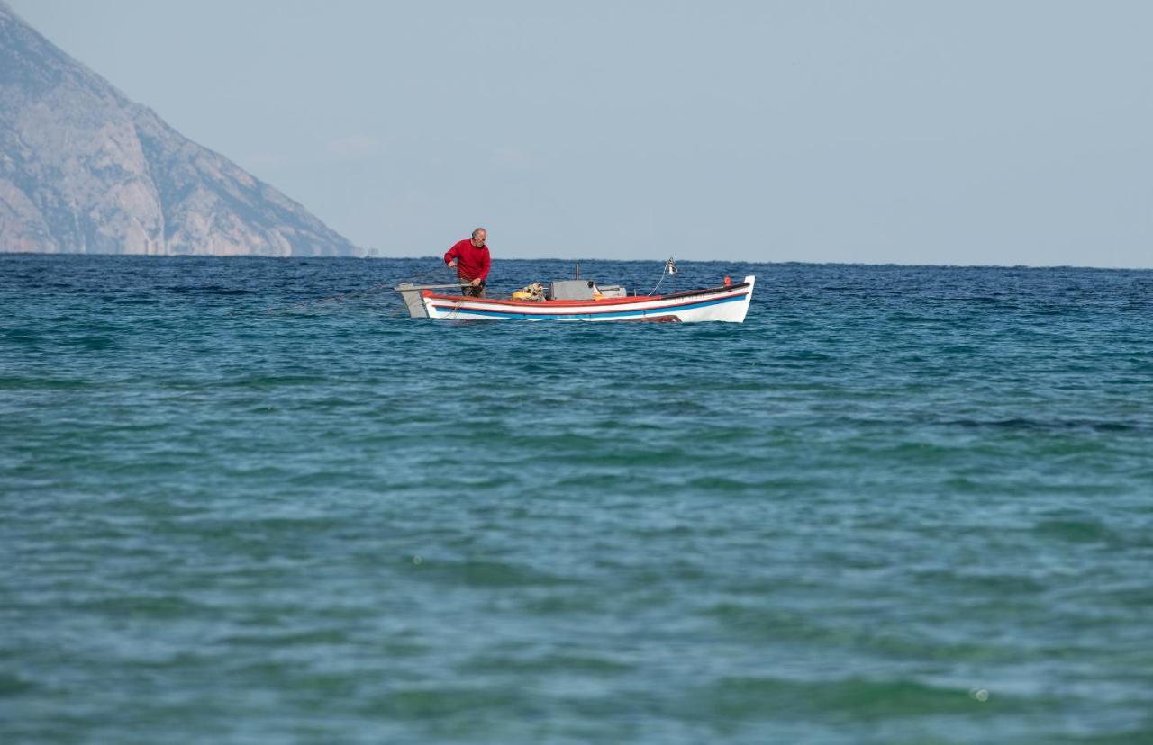 Villa Menie - Golden Fig Sykia Lodge Paralia Sikias Dış mekan fotoğraf